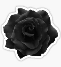 Single Large High Resolution Black Rose. Sticker