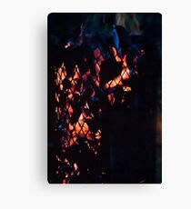 Fire basket Canvas Print