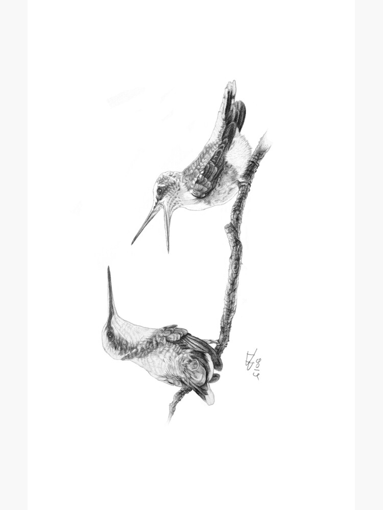 Ruby-Throated Hummingbird: Mother and Chick, 2012, Pencil by LaughingMantis