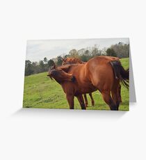 Brown Horse Grußkarte