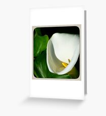 Ms Herbaceous Greeting Card