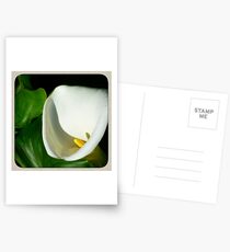Ms Herbaceous Postcards