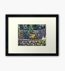 Stone Bench On Capri Framed Print