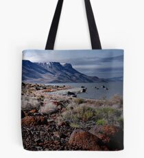 Lake Abert Tote Bag