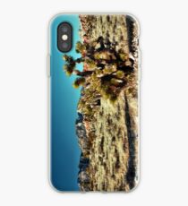 Red Rock Canyon National Conservation Area iPhone Case