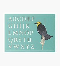 Blackbird with Alphabet Photographic Print