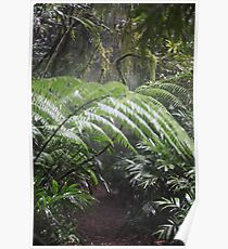 Rainforest Poster