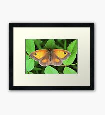 GateKeeper Framed Print