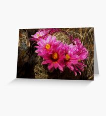 Crowned Cacti Greeting Card