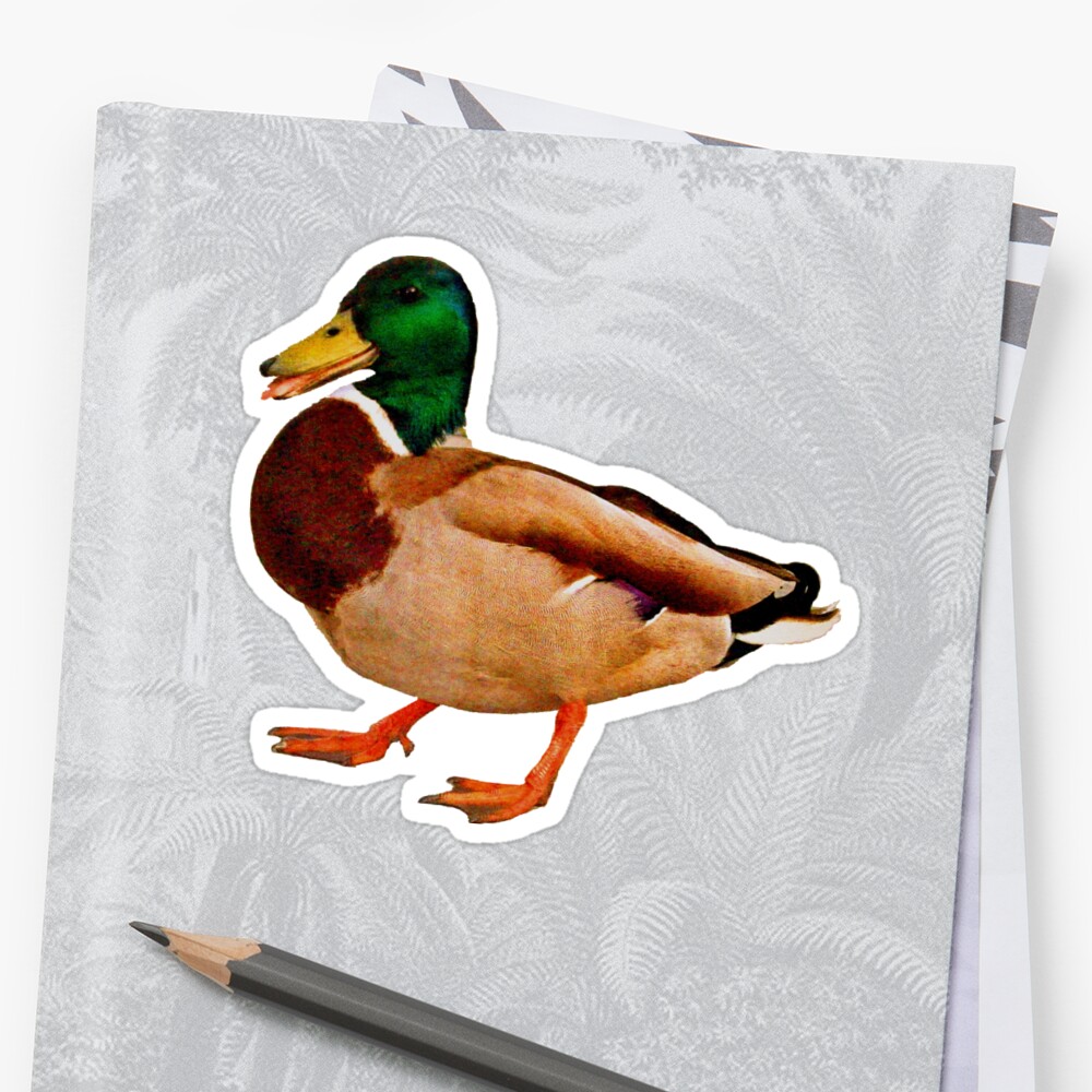 Duck Sticker By Silentstead Redbubble 