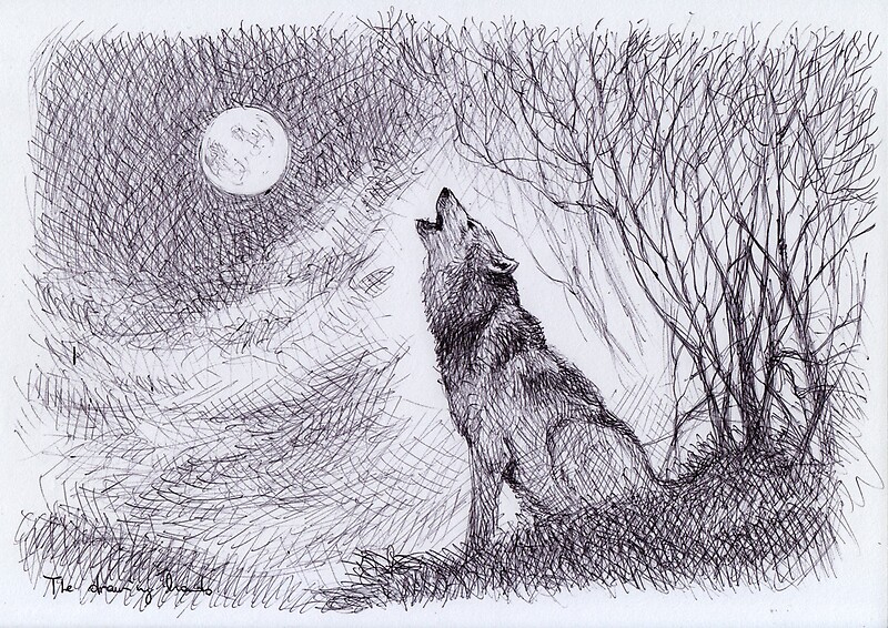 "Howling Wolf" by thedrawinghands | Redbubble