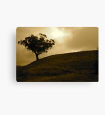 Perfectly Lonely Canvas Print