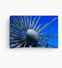 Perched Canvas Print