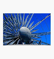 Perched Photographic Print