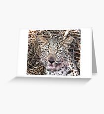Sweetness Greeting Card
