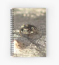 Jumping Spider Spiral Notebook