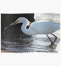 White Bird Poster