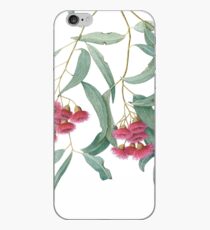 Eucalyptus leucoxylon - Yellow Box with Red Flowers iPhone Case
