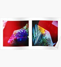 Obscured - 120 Color Holga Diptych Poster