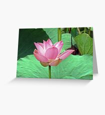 Lotus Greeting Card