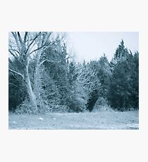 Blue tint Photographic Print