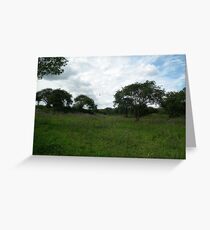 Simple Landscape Greeting Card