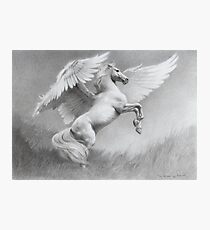 Pegasus Photographic Print