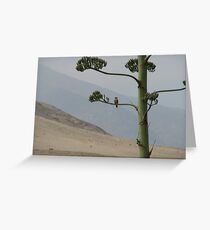 Bird in a Peruvian Tree Greeting Card