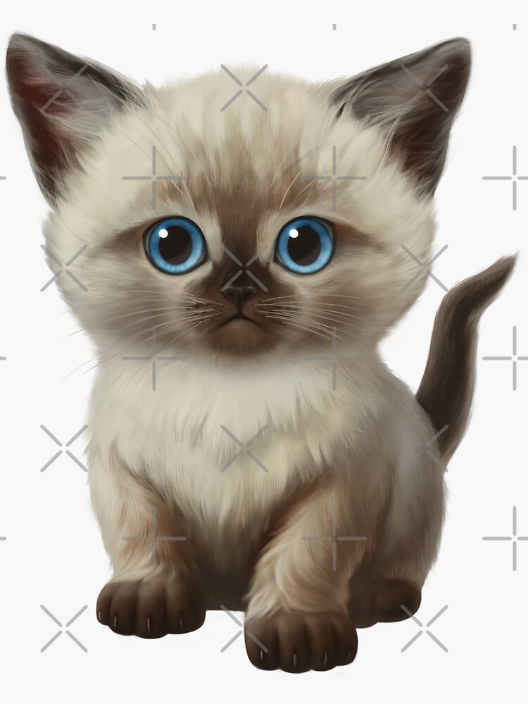 Library Of Slapping Cat Picture Png Files Clipart Art 2019 286