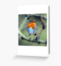 Is it Christmas yet? Greeting Card