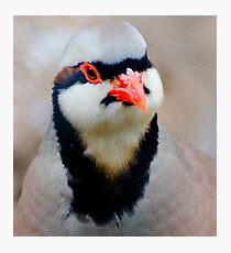 Red nose Photographic Print