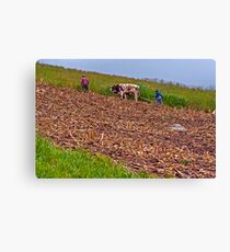 Farmers Canvas Print