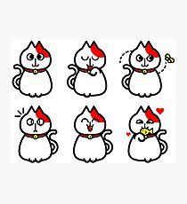 kittens Photographic Print