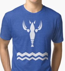 Wind Waker-Hero's New Clothes Tri-blend T-Shirt