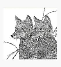 Seeing Double Photographic Print