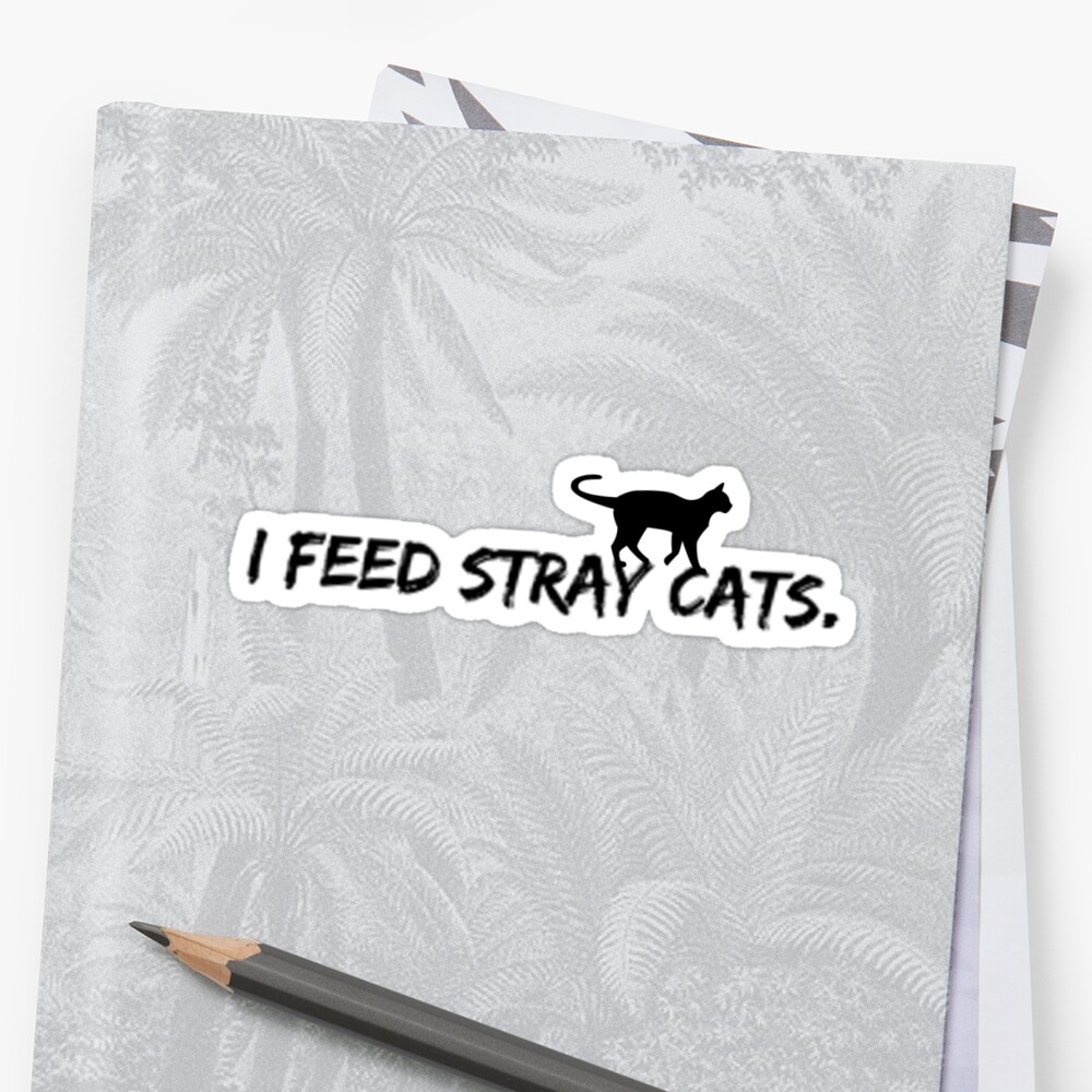 download free feeding stray cats