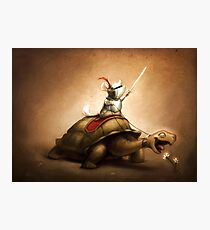 Knight of the Chinchilla Photographic Print