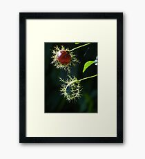 Lost - Perdido Framed Print