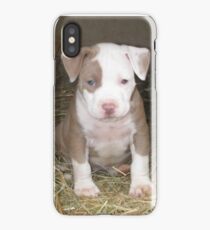 You Said What? iPhone Case/Skin