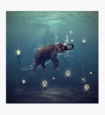 The Dreamer Photographic Print
