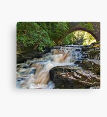 West Burton Falls Canvas Print