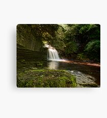 West Burton Falls Canvas Print
