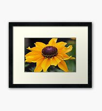 Little Sun :) Framed Print
