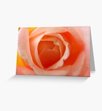 Rose Greeting Card