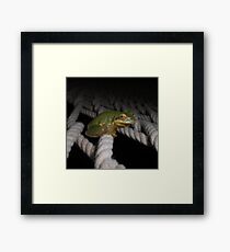 Frog Siesta - Just Hanging Out Framed Print