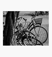 Bicycles-bicycles Photographic Print