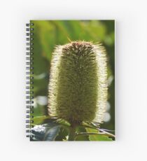 Banksia nectar Spiral Notebook