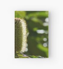 Banksia nectar Hardcover Journal