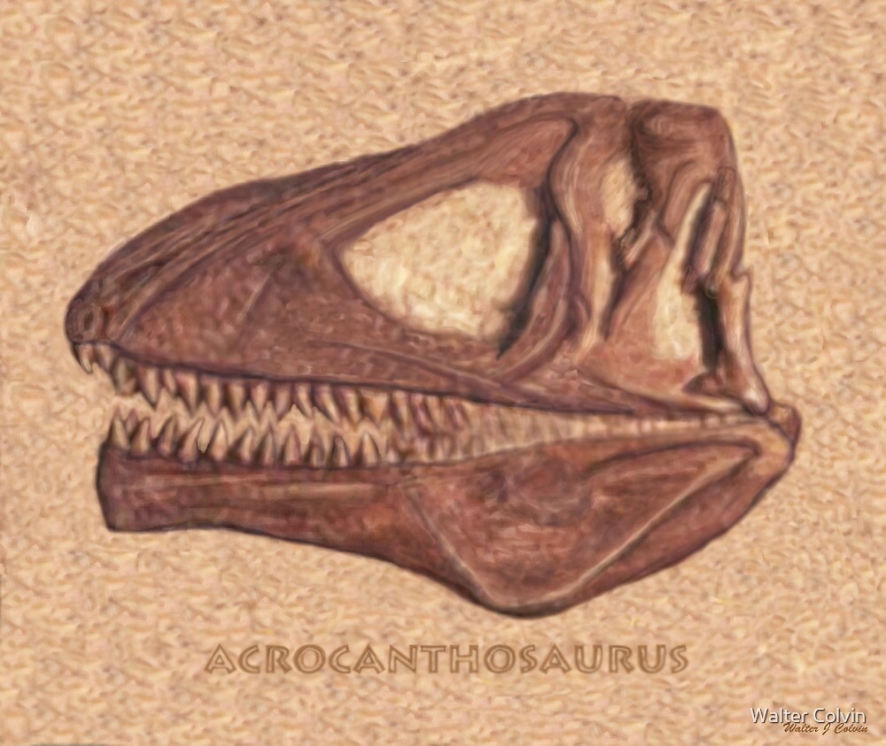 acrocanthosaurus fossil