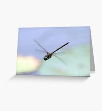 Dragonfly Greeting Card